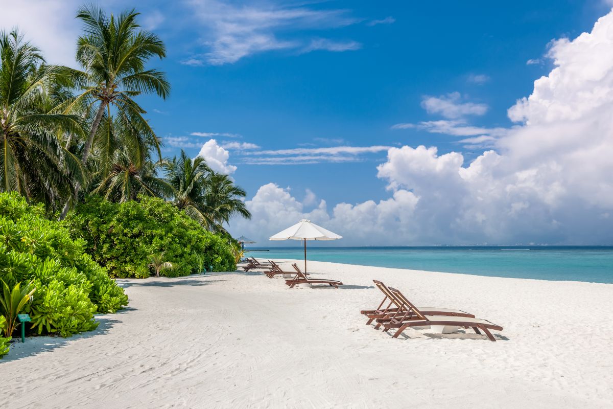 Strand mit Palmen, Liegen und Meer